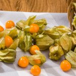 physalis