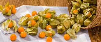 physalis