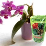 Fungicide and orchid