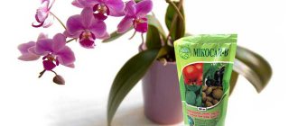 Fungicide and orchid