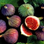 Figs