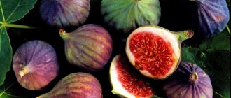 Figs