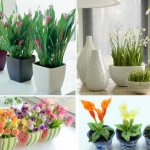 How to choose the right flower pot