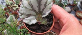 How to propagate - methods