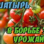 нашатырь для растений