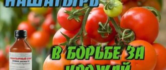 нашатырь для растений