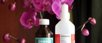 Ammonia for indoor flowers. Application against pests, for feeding plants 