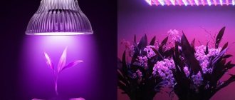 Lighting for orchids