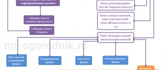 Разновидности пионов