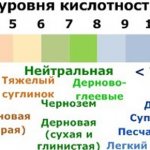 PH METERS: HOW TO USE