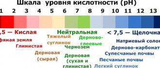 PH METERS: HOW TO USE