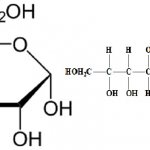 Sugar for orchids (reviews)