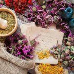 Herbs for witches