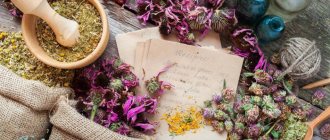 Herbs for witches