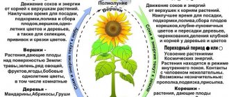 The influence of the moon on plants