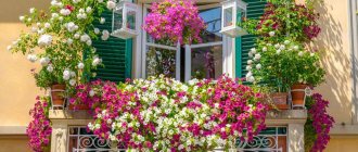 choosing colors for a balcony on the sunny side