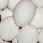 eggshells as fertilizer