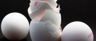 Eggshells as fertilizer for plants and gardens