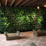 Green wall in a dark living room