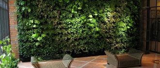 Green wall in a dark living room